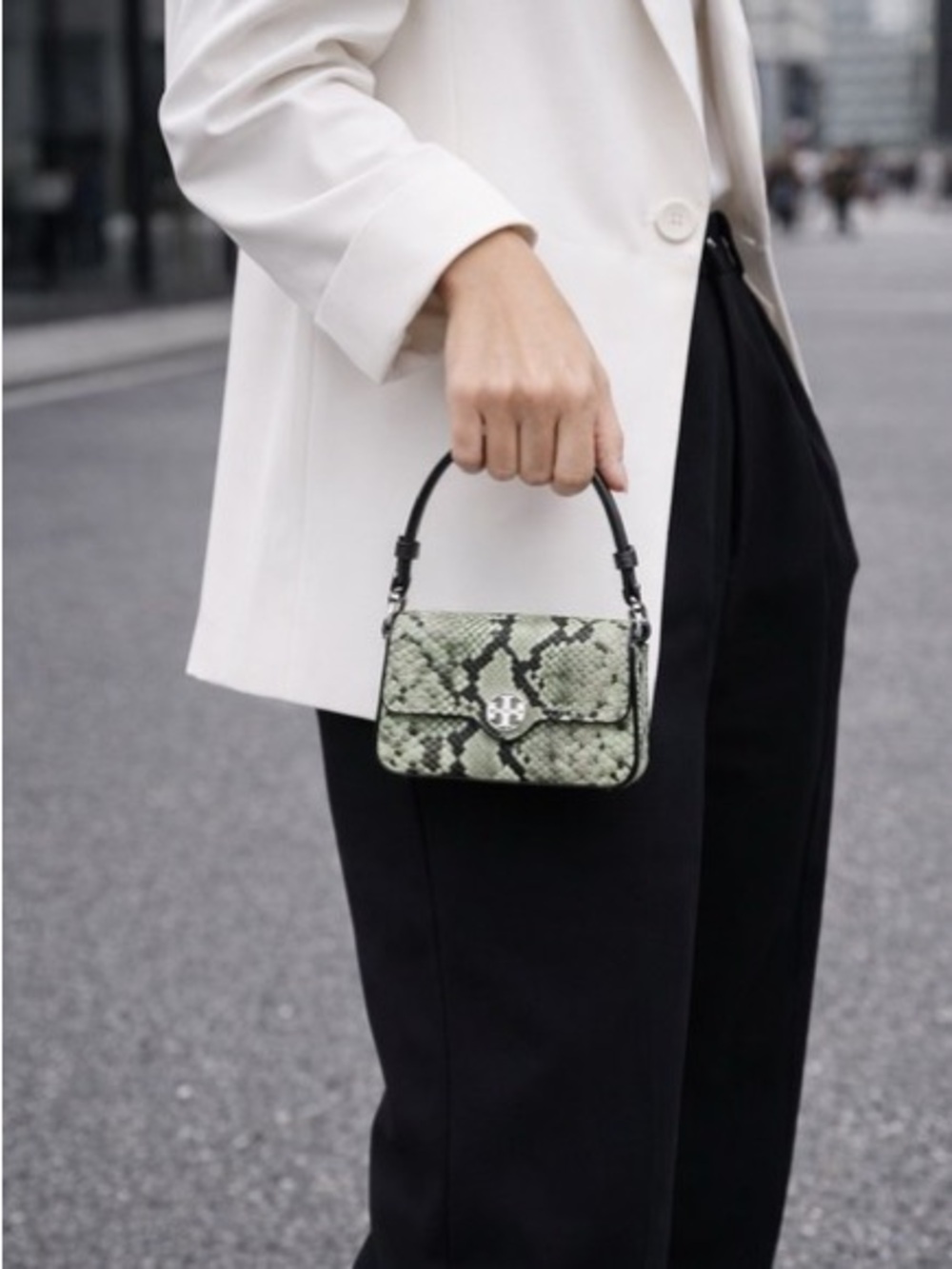 Tory Burch Neutral Snake-Print Mini Bag with Dark Trim